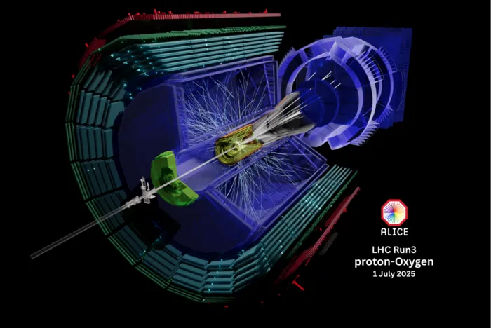 ALICE explores the quark–gluon plasma with light-ion collisions