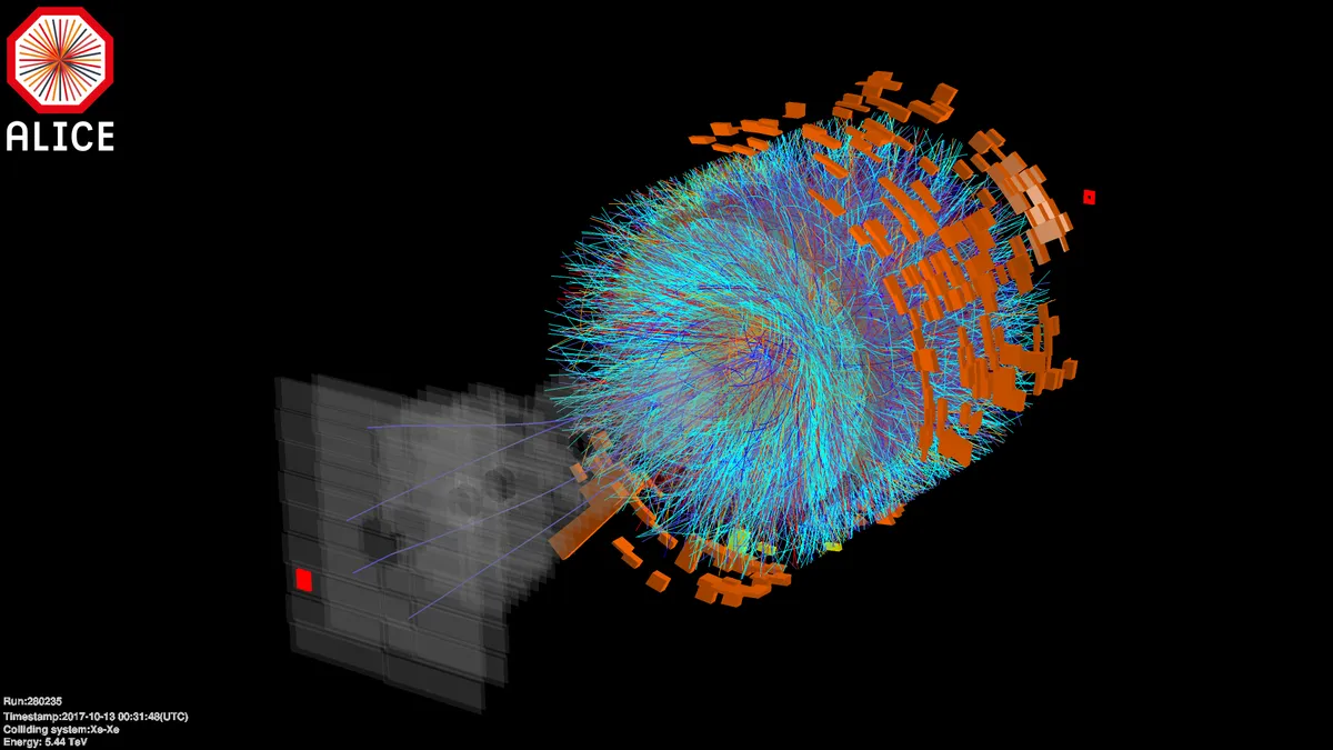 A successful heavy-ion campaign for ALICE