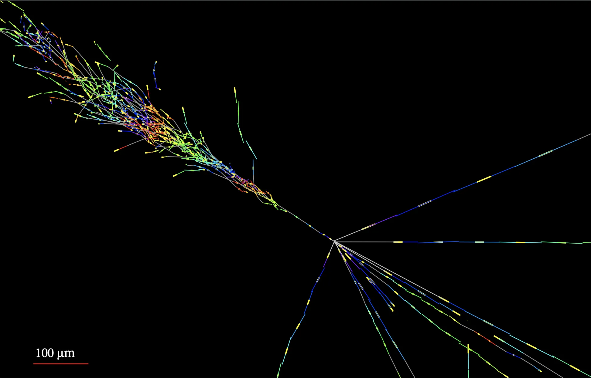 Studying FIPs with FASER – recent news