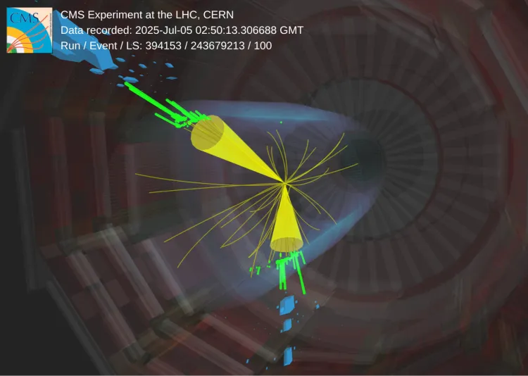 CMS explores light-ion collisions: suppression, scaling, and collectivity