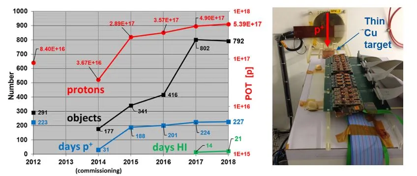 A bright year for the EP-DT irradiation facilities