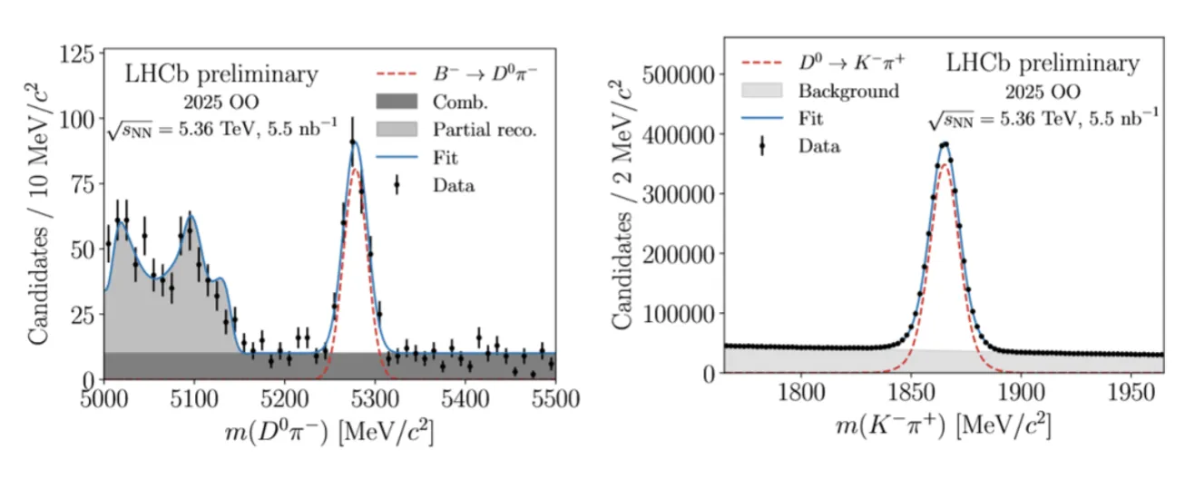 LHCb-EPnewsJune2026-Light Ions