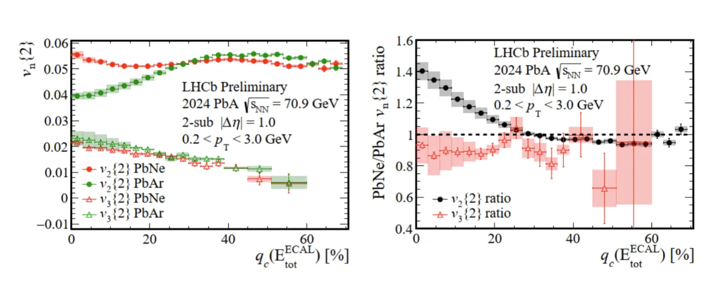 EP LHCb Newsletter