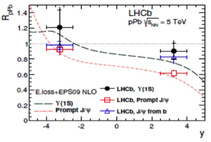 LHCb results from proton-lead collisions and prospects for heavy ion interactions