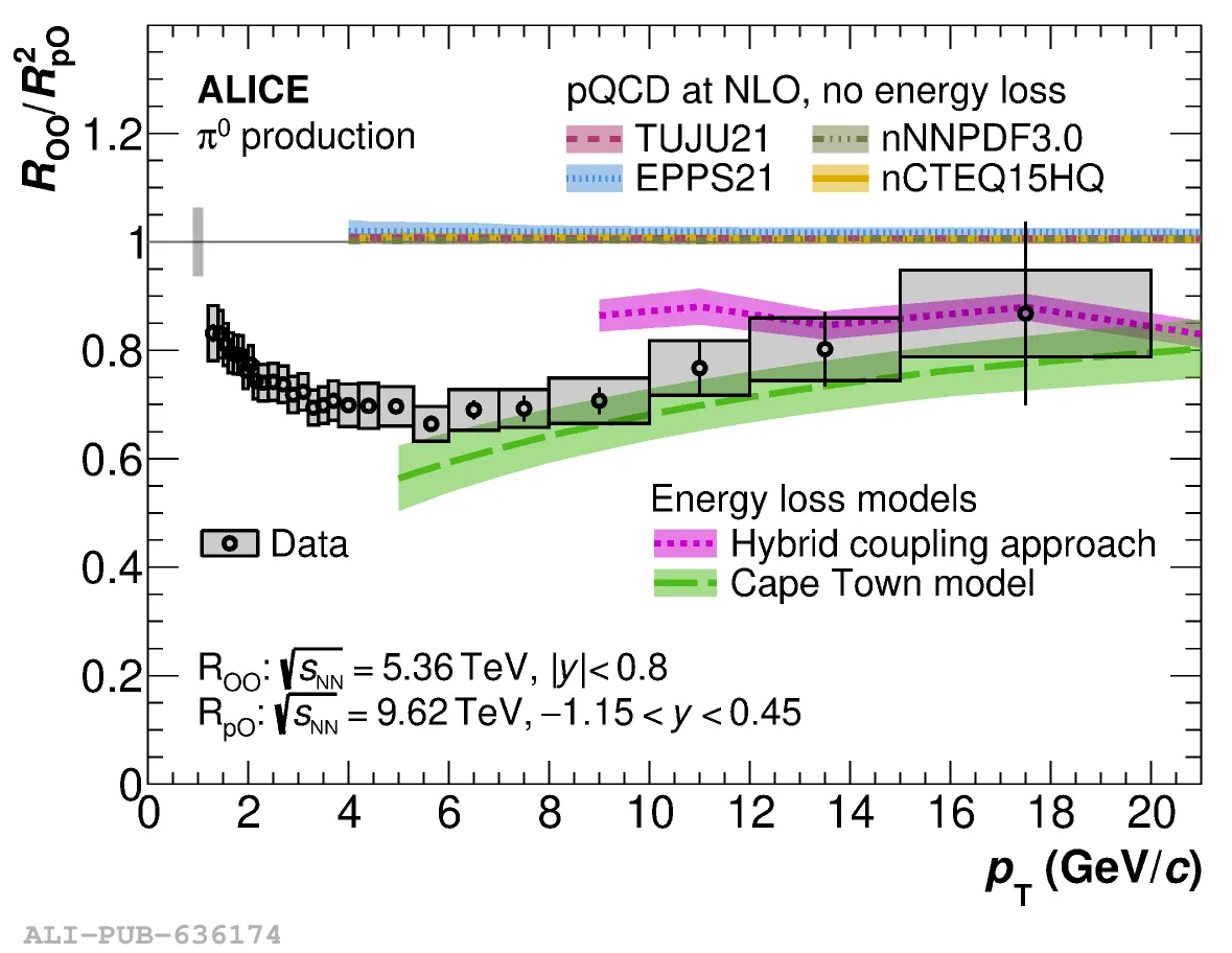 ALICE EP newsletter June 2026-Image2