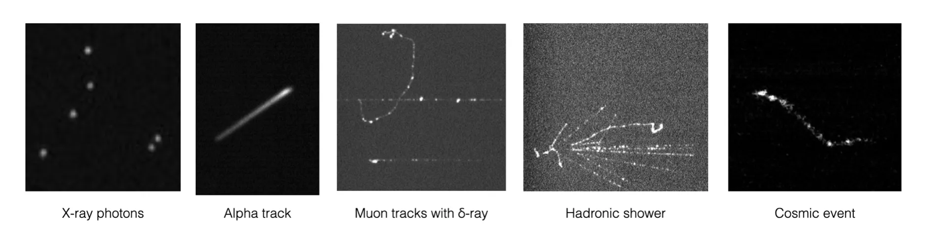 WP2-Radiation imaging