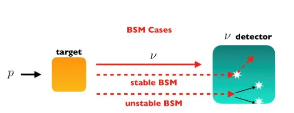 Physics from neutrino near detectors: opening a new window for BSM searches